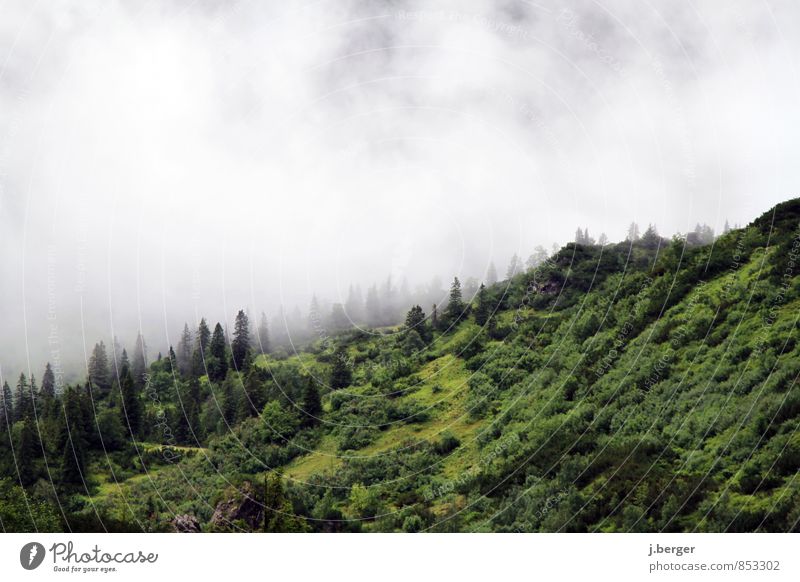 dampf ablassen Berge u. Gebirge wandern Natur Landschaft Pflanze Luft Wolken Sommer schlechtes Wetter Nebel Regen Wald Hügel Alpen gruselig nass grün weiß