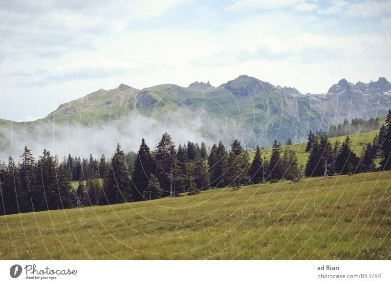 Skyline II Ferien & Urlaub & Reisen Abenteuer Ferne Freiheit Berge u. Gebirge wandern Natur Landschaft Pflanze Tier Wolken Gewitterwolken Sommer