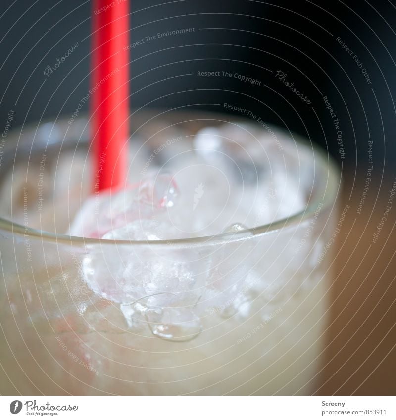 Schlürf... Lebensmittel Eiswürfel Ernährung Getränk Alkohol Longdrink Cocktail Caipirinha Glas Trinkhalm trinken kalt lecker rot weiß genießen Farbfoto