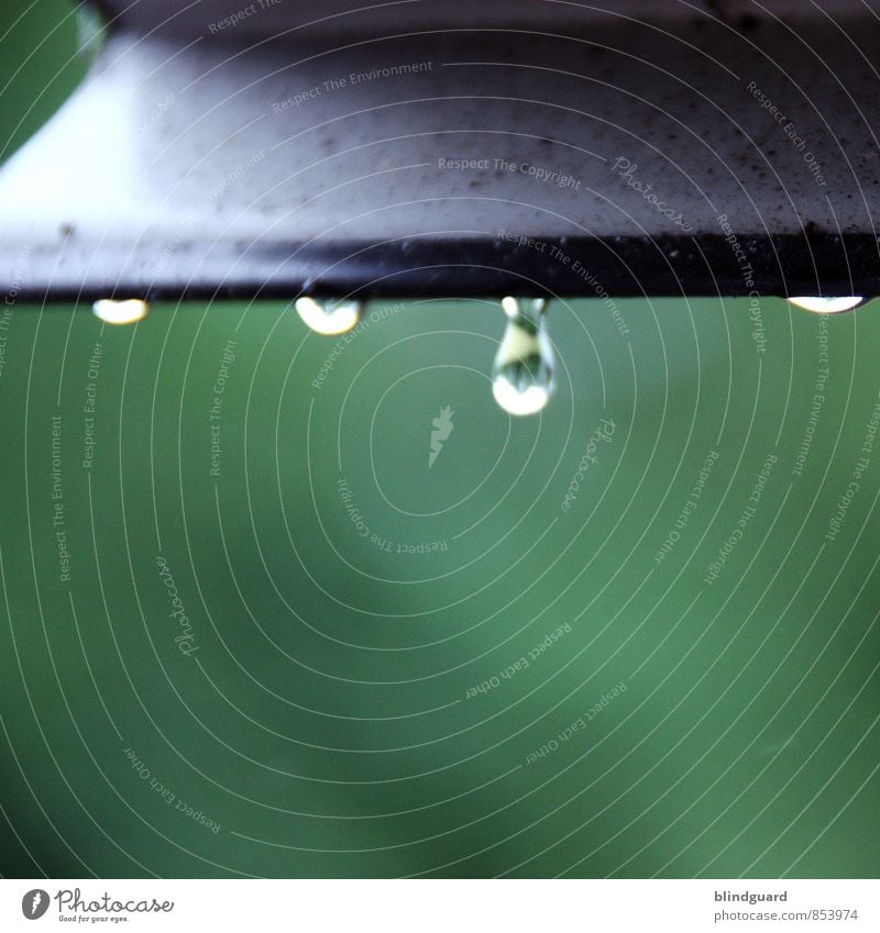 natürlich | Abtropfgewicht erreicht schlechtes Wetter Regen Fenster Metall Wasser weinen authentisch Flüssigkeit glänzend einzigartig grün schwarz weiß