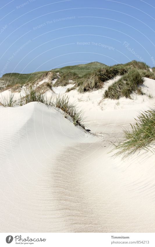 Ein Bild von einer Düne. Ferien & Urlaub & Reisen Umwelt Natur Landschaft Pflanze Sand Himmel Wolkenloser Himmel Schönes Wetter Dünengras Dänemark Sandverwehung