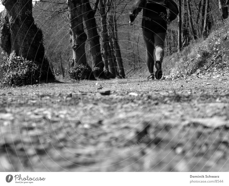 gut gelaufen Wald Jogger Joggen Blatt Baum Mann Schuhe Wade Sport Wege & Pfade walking Walker Beine Muskulatur rennen Spurt Schwarzweißfoto