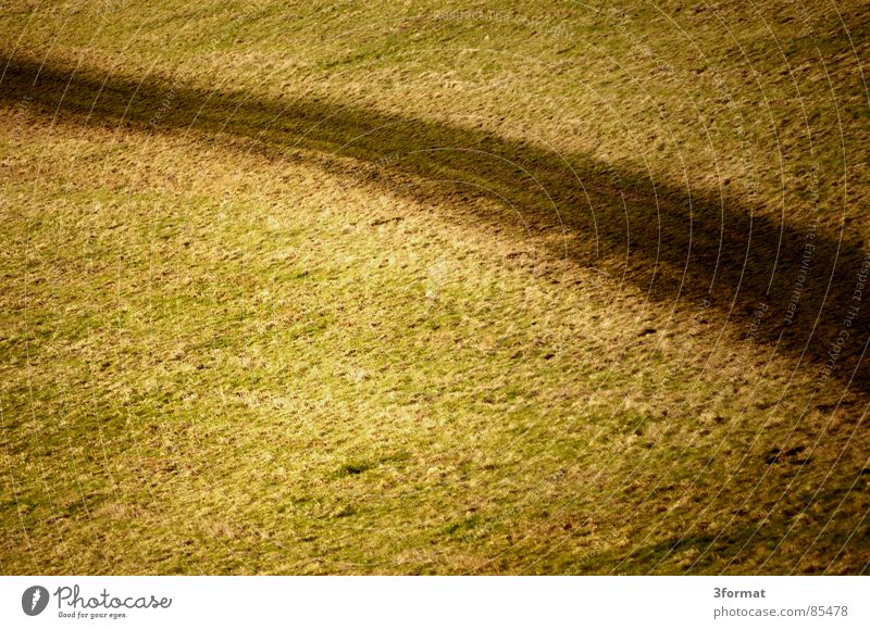 feldweg Landwirtschaft Feld Ackerbau Strukturen & Formen Wege & Pfade Fußweg Einsamkeit abgelegen Gras grün Ödland Teppich Schlamm Sumpf Grünfläche Wiese Moor