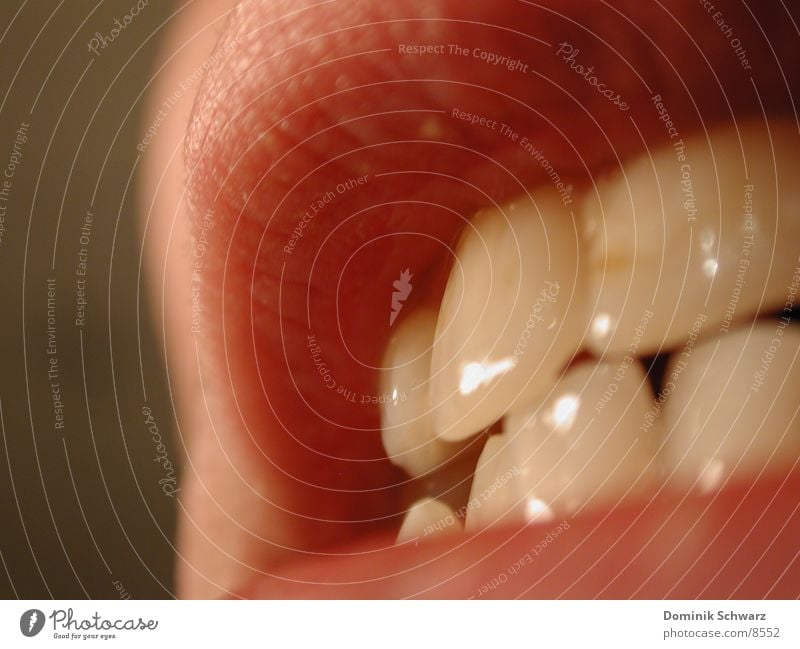 Zähne zeigen Oberlippe Unterlippe Lippen Schneidezahn Mensch Vorderzähne Mund
