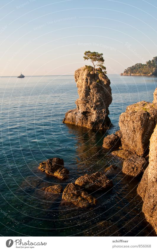 Einbaum Landschaft Baum Felsen Wellen Küste Bucht Riff Meer Jacht Motorboot Kitsch einzeln Gesteinsformationen Ferien & Urlaub & Reisen Italien Portofino