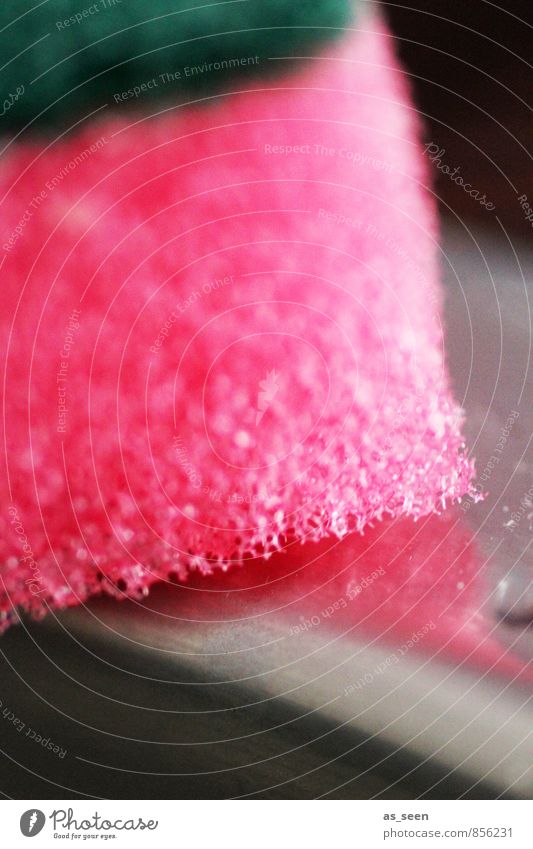 Schwamm drüber Häusliches Leben Wohnung Küche Gastronomie Herd & Backofen Putztuch Putzschwamm leuchten Reinigen ästhetisch eckig rosa gewissenhaft fleißig
