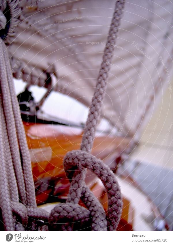 Segelschiff See Mahagoni Ijsselmeer Meer Segeln Holz Wasserfahrzeug Sommer befestigen Befestigung Wellen Einsamkeit Niederlande Physik kalt Segeltörn