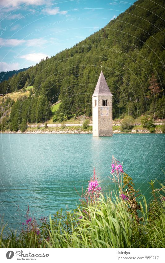 Das im Jahr 1950 geflutete Dorf Alt-Graun Tourismus Natur Landschaft Himmel Sommer Schönes Wetter Blume Blüte Wald Alpen Seeufer Südtirol Menschenleer Kirchturm