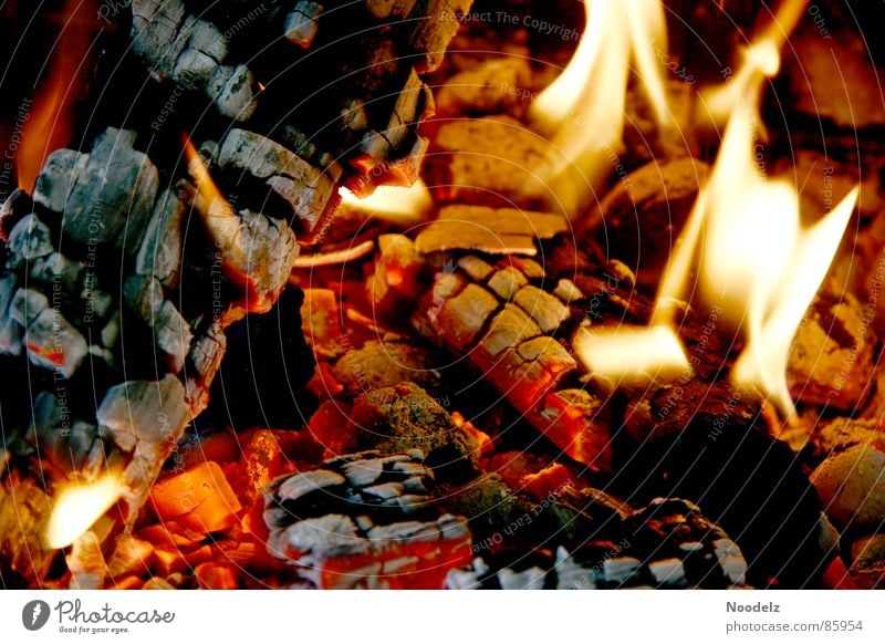 Fuego heiß Holz Wohlgefühl Physik gelb heizen brennen grillieren gluht Brand Flamme Wärme sehr warm