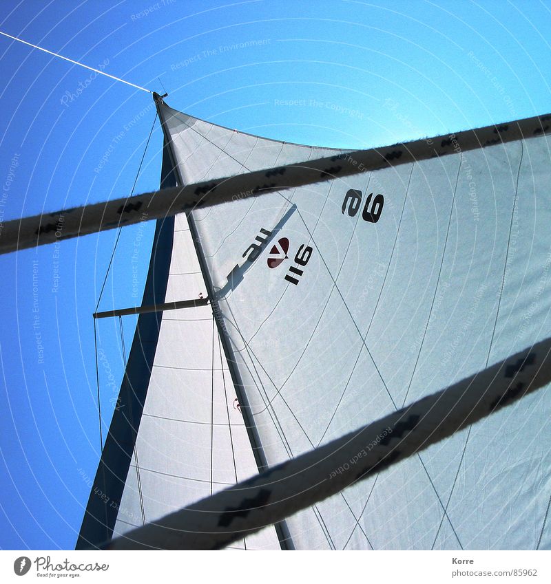 Sommer auf dem See Farbfoto Außenaufnahme Menschenleer Tag Schatten Kontrast Sonnenlicht Gegenlicht Froschperspektive Spielen Kreuzfahrt Meer Sport Segeln Seil