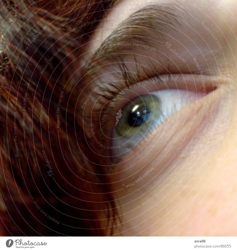 wo sieht sie hin? Frau grün verträumt ruhig Aussehen bewachen Augenbraue Blick heften Gesichtsausschnitt Haare & Frisuren grüne augen augenlicht Mensch