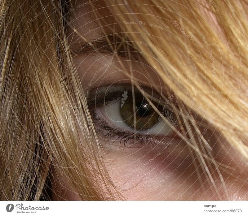 Auge Pupille Schminke schön attraktiv Makroaufnahme Nahaufnahme Haare & Frisuren eye hair Nase eyeliner Wimpern