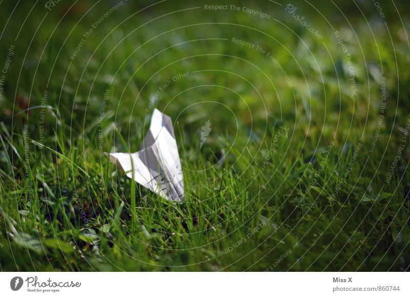 Musik liegt in der Luft / Wiese Basteln Kinderspiel Musiknoten Gras fliegen Notenblatt Symbole & Metaphern Papierflieger Origami Bruchlandung Sturz Farbfoto