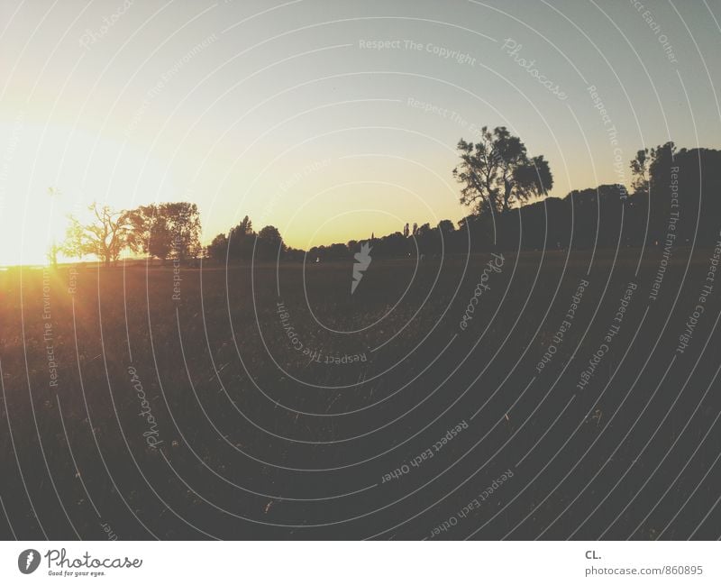 rumhängen mit sinn Umwelt Natur Landschaft Himmel Wolkenloser Himmel Sonne Sonnenaufgang Sonnenuntergang Sonnenlicht Sommer Klima Wetter Schönes Wetter Gras