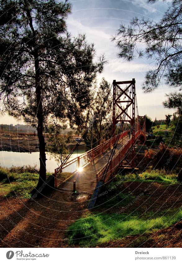 Rusty Gate Bridge Architektur Umwelt Natur Sonnenlicht Sommer Schönes Wetter Baum Gras Sträucher Blatt Park Adana Türkei Europa Stadt Stadtrand Brücke Bauwerk