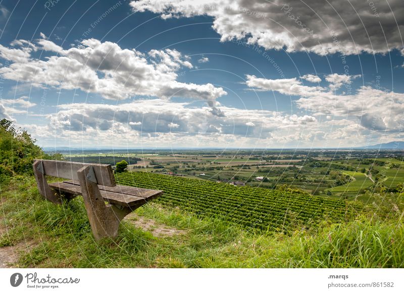 Kaiserbank Tourismus Ausflug wandern Umwelt Natur Landschaft Himmel Wolken Horizont Sommer Schönes Wetter Pflanze Feld Weinbau Bank Erholung genießen schön