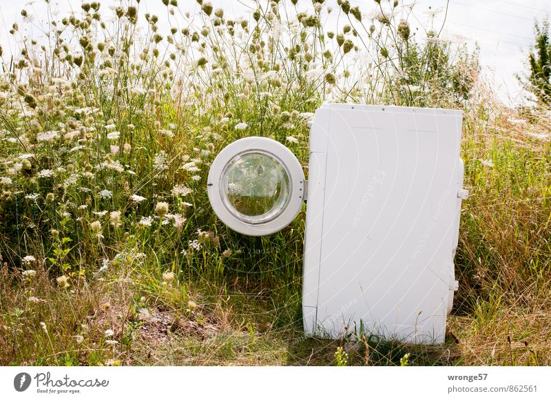 Ökowaschgang Waschmaschine Vollwaschautomat Umwelt Pflanze Sommer Straßenrand entdecken alt eckig grün weiß Müll Müllentsorgung ungesetzlich entsorgen Farbfoto