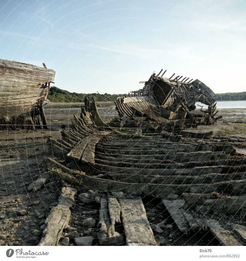 "Shipwreck Cove, on Shipwreck Island, ..." Sommer Schönes Wetter Algen Küste Bucht Meer Atlantik Schlick Fischerdorf Schiffsfriedhof Schifffahrt Fischerboot