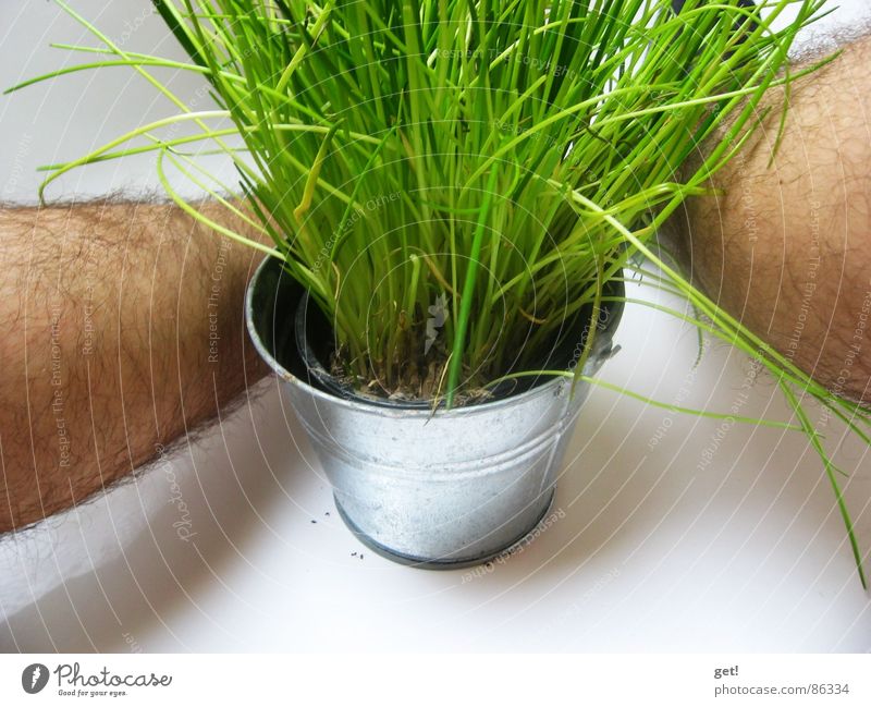 chun - Frühling grün Schnittlauch Pflanze Gesundheit Ekel photocase Beine Haare & Frisuren Haut