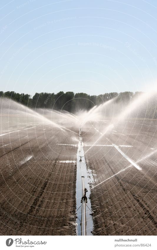 Wasser marsch! Bewässerung Wasserrohr Feld Ackerboden gießen Landwirtschaft Waldrand nass feucht kalt Himmel Schönes Wetter Röhren