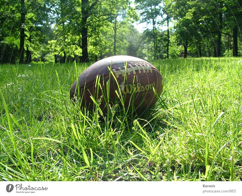 Football nach Touchdown American Football Wiese Baum Freizeit & Hobby Nahaufnahme Wilson Lederball