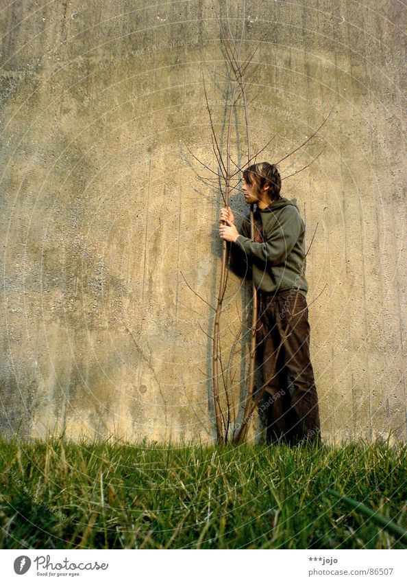 mein freund, der baum bedrängen Mauer Selbstportrait Naturliebe Gras grün Duell Lebensraum Biotop Rettung Umwelt liebste Tod Unsinn Spaßvogel Baumstamm Wildnis