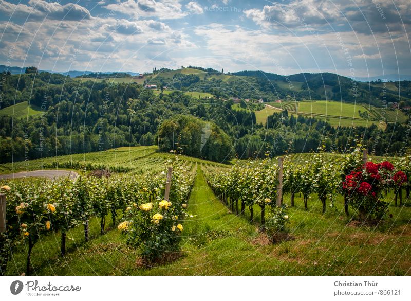 Weites Land Steiermark / Gamlitz Wellness harmonisch Wohlgefühl Zufriedenheit Sinnesorgane Erholung ruhig Meditation Freizeit & Hobby Ferien & Urlaub & Reisen
