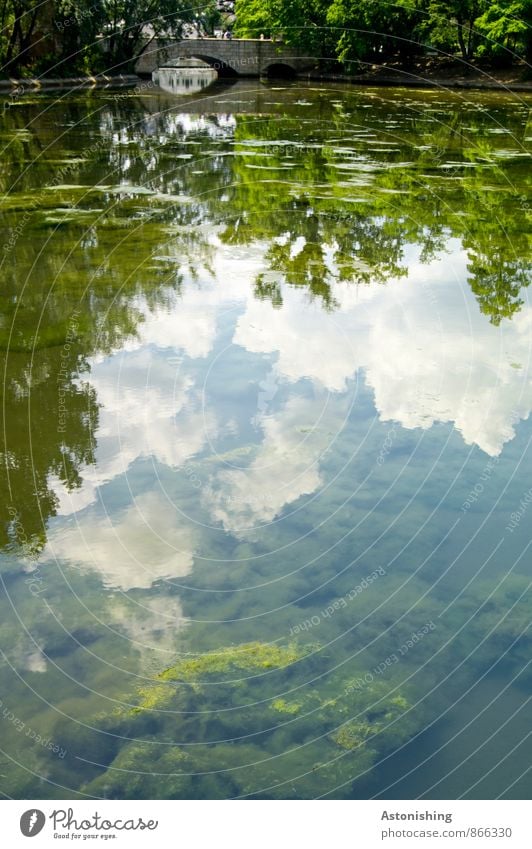 die Brücke Umwelt Natur Landschaft Pflanze Luft Wasser Himmel Wolken Sommer Wetter Schönes Wetter Baum Sträucher Park Teich Budapest hell nass schleimig blau