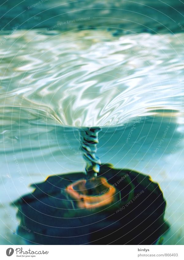 Sogwirkung Wasser drehen ästhetisch außergewöhnlich fantastisch Flüssigkeit nass positiv türkis Bewegung rein Wasserwirbel Abfluss Spirale durchsichtig