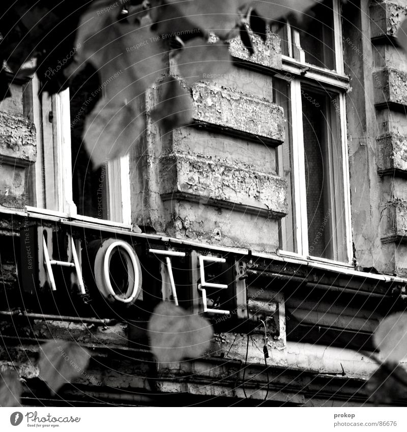 Zugige Unterkunft Hotel verfallen bewohnt Sozialer Brennpunkt Kreuzberg Blatt Fenster Fassade Neonlicht desolat Fenstersims Gasthof brechen schäbig Motel