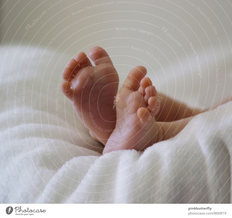 Zehn kleine Zehen... elegant Körperpflege harmonisch Wohlgefühl Zufriedenheit Erholung ruhig Mensch maskulin Baby Junge Fuß 1 0-12 Monate berühren liegen