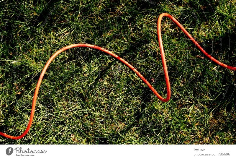 Kabel auf Gras Wiese Sommer Frühling Halm Untergrund Elektrizität Arches National Park springen Anschluss verbinden Verbindung Kommunizieren bow attach connect