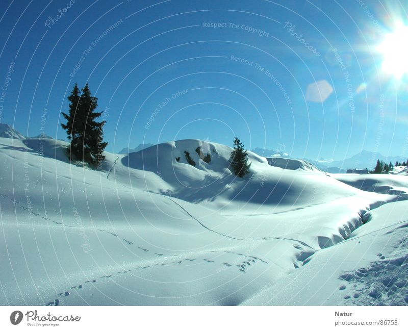 Sonnige Schneelandschaft der Riederalp Schweiz Region Talsohle ästhetisch Winter Sonne Fährte Schönes Wetter Berge u. Gebirge Natur schön Schneedecke