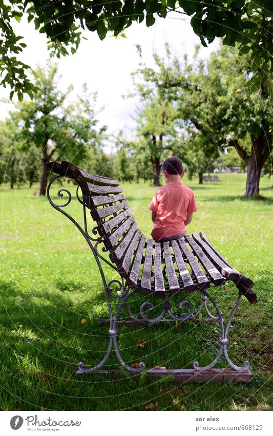 sitzengeblieben Kindererziehung Mensch Junge Kindheit Oberkörper Rücken 1 3-8 Jahre Natur Baum Gras Garten Park Bank Heimweh Fernweh Einsamkeit Erholung
