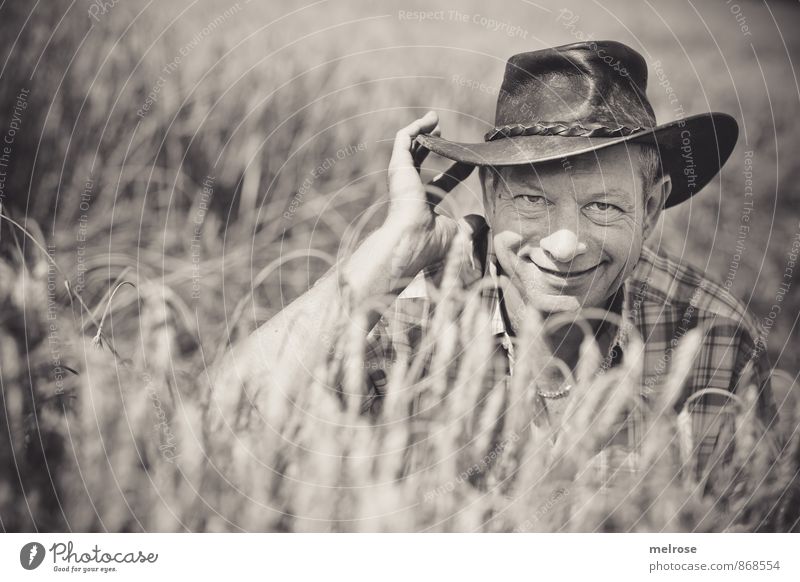 cowboy in the field Mensch maskulin Mann Erwachsene Gesicht Hand Schulter 1 45-60 Jahre Umwelt Landschaft Sonne Sommer Schönes Wetter Nutzpflanze Getreide