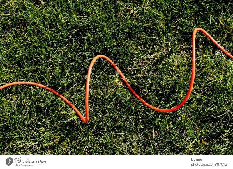 Gras unter Kabel Wiese Sommer Frühling Halm Untergrund Elektrizität Arches National Park springen Anschluss verbinden Verbindung Kommunizieren bow attach