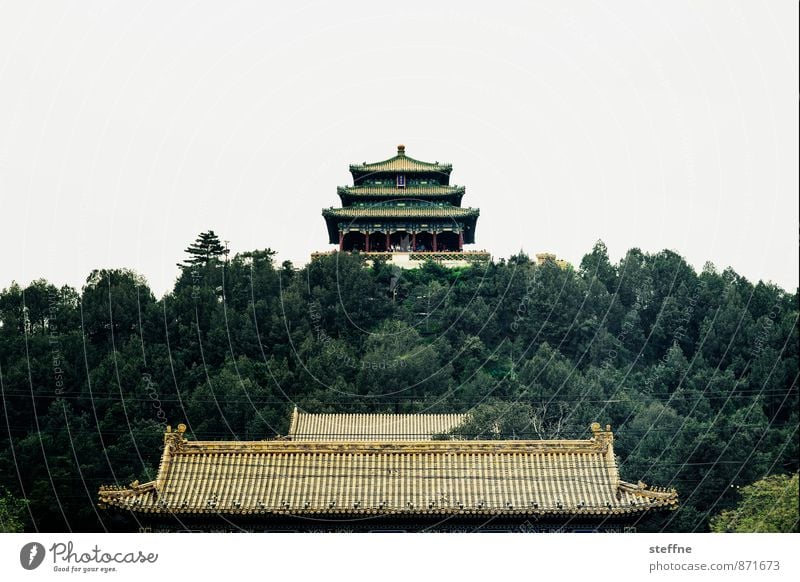 Kohleberg Baum Peking China Altstadt Palast Sehenswürdigkeit Wahrzeichen Verbotene Stadt außergewöhnlich Asiatische Architektur Farbfoto Textfreiraum oben