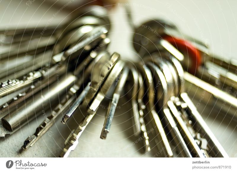 Schlosslose Schlüssel Häusliches Leben Wohnung Haus Arbeitsplatz Büro Dienstleistungsgewerbe Werkzeug Metall Zeichen Verantwortung Wachsamkeit Verlässlichkeit
