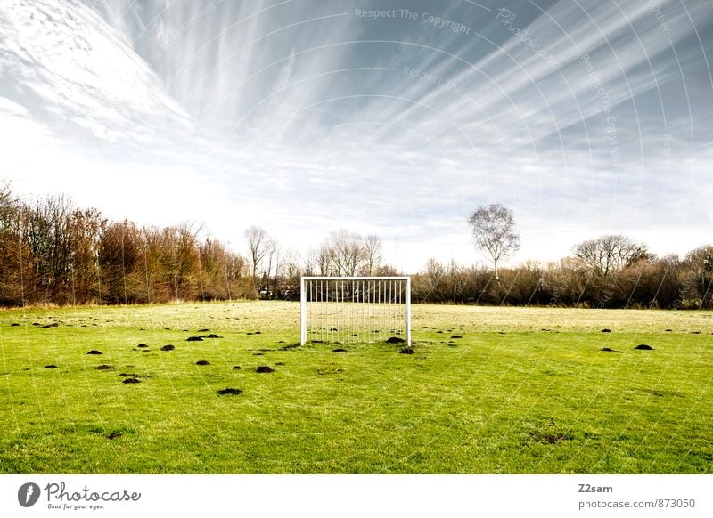 SPIEL R A U M Leben Freizeit & Hobby Sport Fußball Tor Sportstätten Fußballplatz Landschaft Himmel Sommer Schönes Wetter Baum Sträucher Wiese Feld natürlich