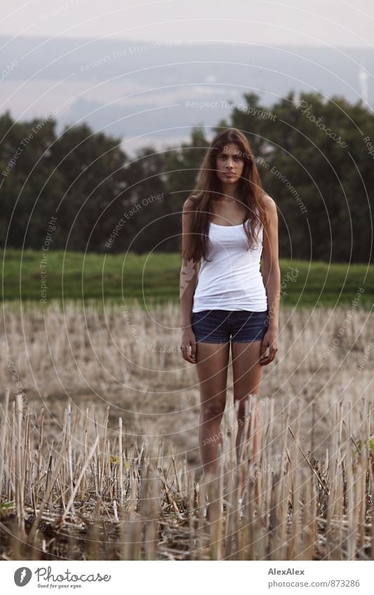 junge, schlanke, schöne Frau steht gerade auf einem abgemähten Feld und schaut in die Kamera Junge Frau Jugendliche 18-30 Jahre Erwachsene Landschaft
