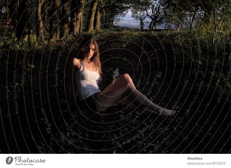 junge, sportliche, schöne Frau sitzt in der Abendsonne auf einer Lichtung im Wald Ausflug Abenteuer Junge Frau Jugendliche Körper Barfuß 18-30 Jahre Erwachsene