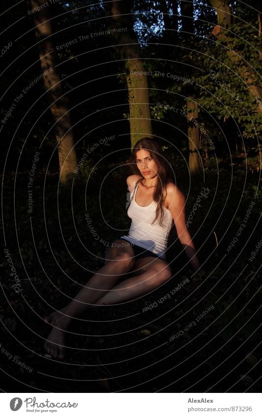 Junge, schöne, langebeinige Frau sitzt barfuß in der Abendsonne auf einer Waldlichtung Junge Frau Jugendliche Körper Gesicht 18-30 Jahre Erwachsene