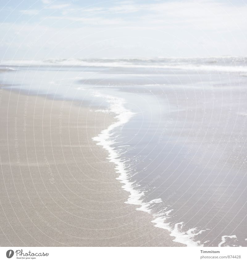 Peace | träum... Ferien & Urlaub & Reisen Umwelt Natur Landschaft Urelemente Sand Wasser Sommer Schönes Wetter Strand Nordsee Dänemark Schwung Wellenlinie