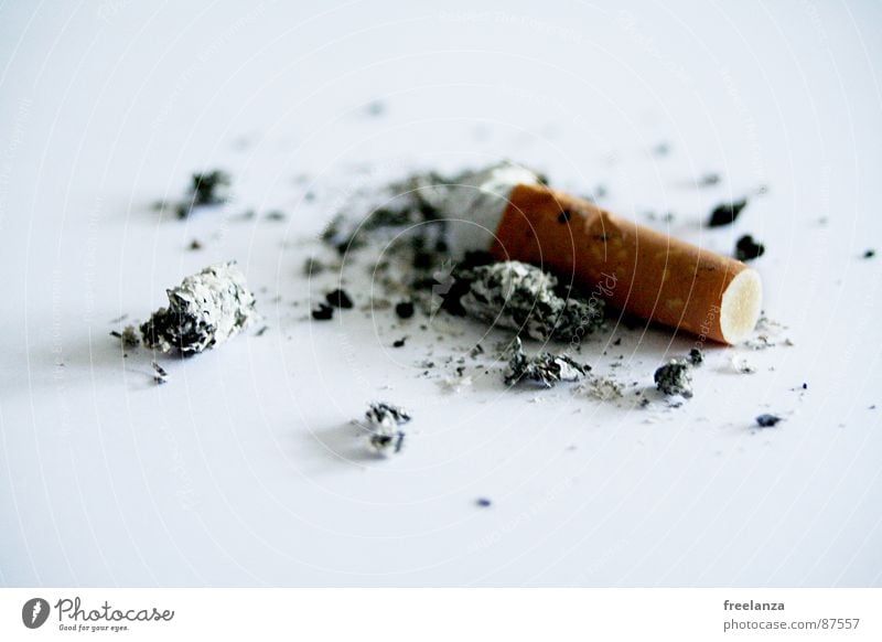 Zigarette Rauchen Tabakwaren Zigarettenstummel Zigarettenasche Vor hellem Hintergrund Freisteller Rest Lungenerkrankung Objektfotografie 1 einzeln