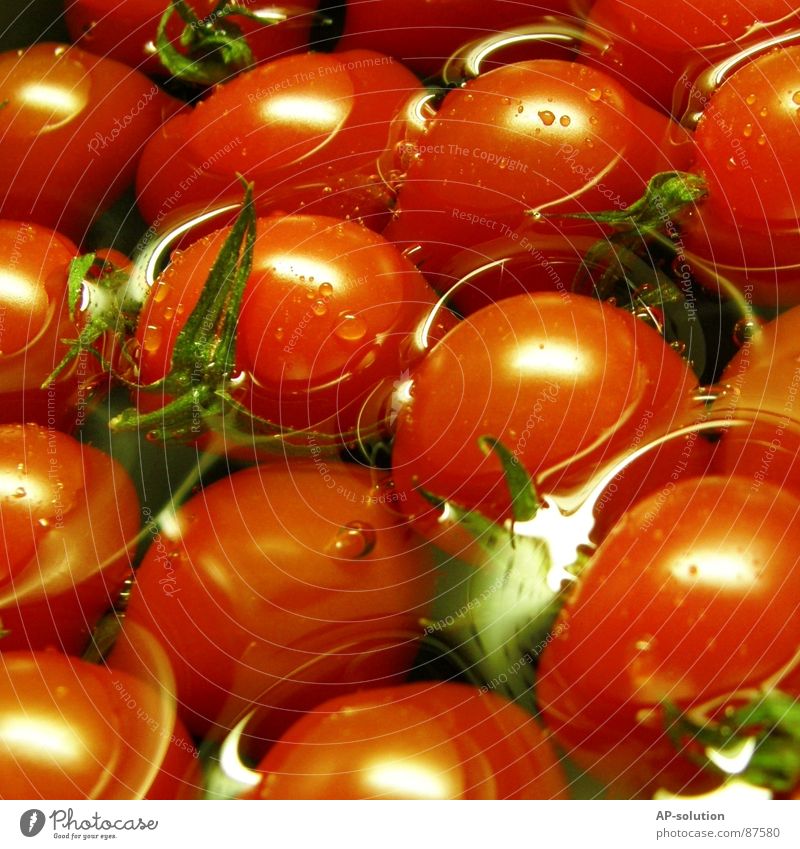 Tomaten Tomatensalat Tomatensaft Nachtschattengewächse Vitamin A rot grün Lust Gesunde Ernährung Gesundheit Gastronomie Ketchup Zutaten Vitamin C Geschmackssinn