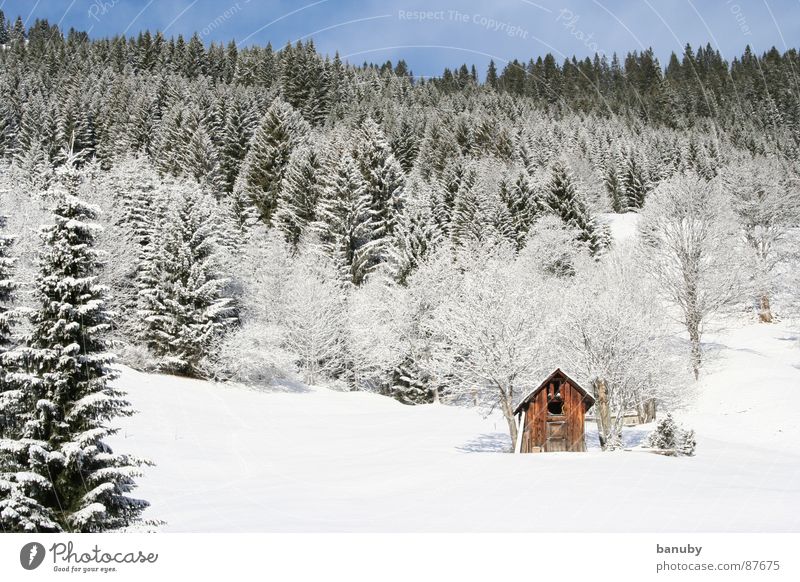 echter winter Einsamkeit kalt Berge u. Gebirge Tanne Bauernhof Schneehütte abgelegen zurückziehen Winter Himmel snow Hütte Menschenleer