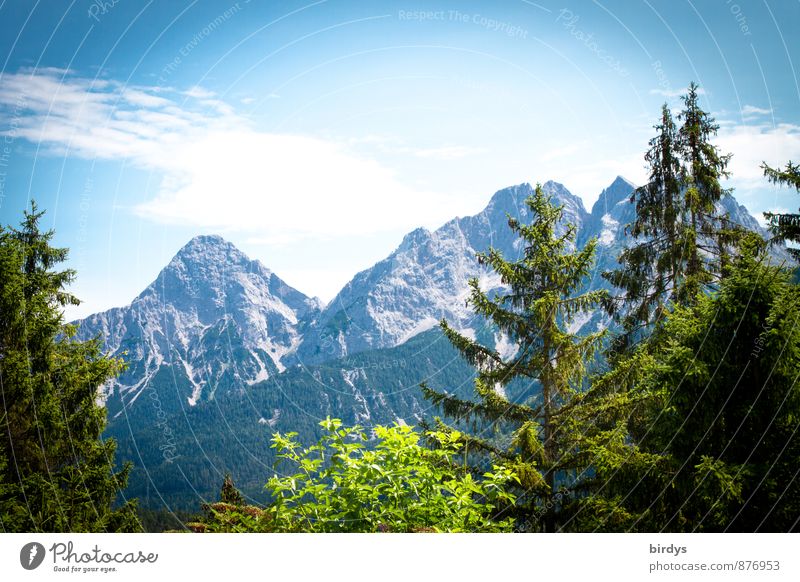 die Zugspitze Ferien & Urlaub & Reisen Sommerurlaub Himmel Wolken Schönes Wetter Tanne Wald Berge u. Gebirge ästhetisch positiv Natur Bundesland Tirol Aussicht