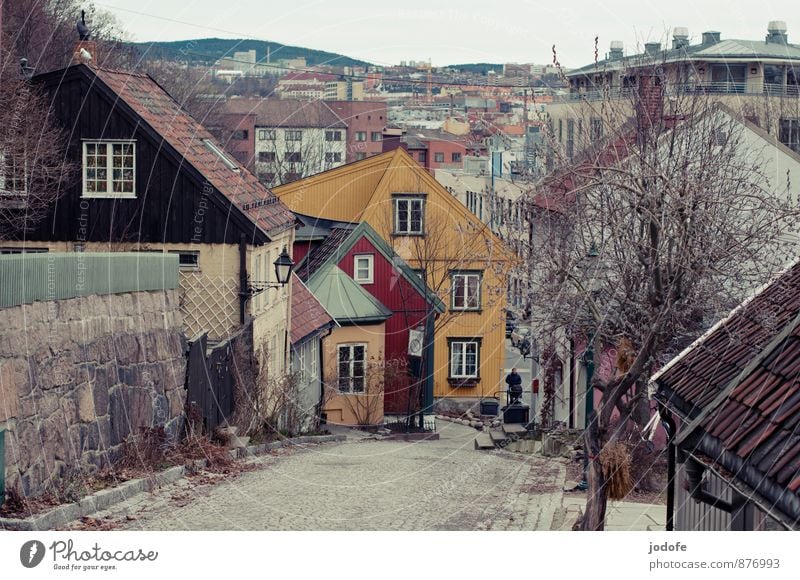 Oslo Norwegen Stadt Hauptstadt Altstadt Menschenleer Haus alt historisch einzigartig schön gelb Senior Tourismus Tradition Mischung Spazierweg Winter Frühling