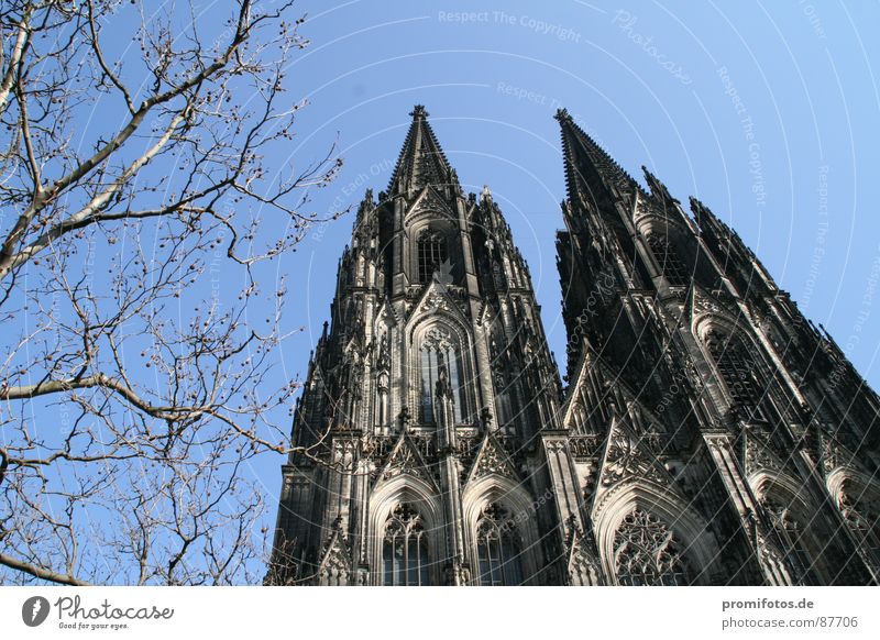 Kölner Dom an einem sonnigen Frühlingstag. Foto: Alexander Hauk Tourismus Kunst Sehenswürdigkeit Macht Güte Opferbereitschaft Reinheit Neid betrügen