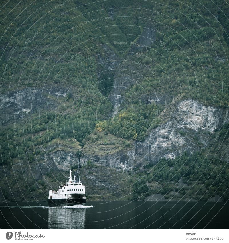 schiff Hügel Felsen Berge u. Gebirge Küste Bucht Fjord Meer Schifffahrt Kreuzfahrt Bootsfahrt Passagierschiff Kreuzfahrtschiff grün Norwegen Farbfoto